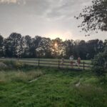 Genießen Sie einen unbeschwerten Urlaub und ein wartungsfreies Zuhause. Bei Svala husservice sind Sie immer an der richtigen Adresse! Rufen Sie uns noch heute an