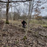 play house, gunga, swings, lekstuga, trampoline, studsmatta,